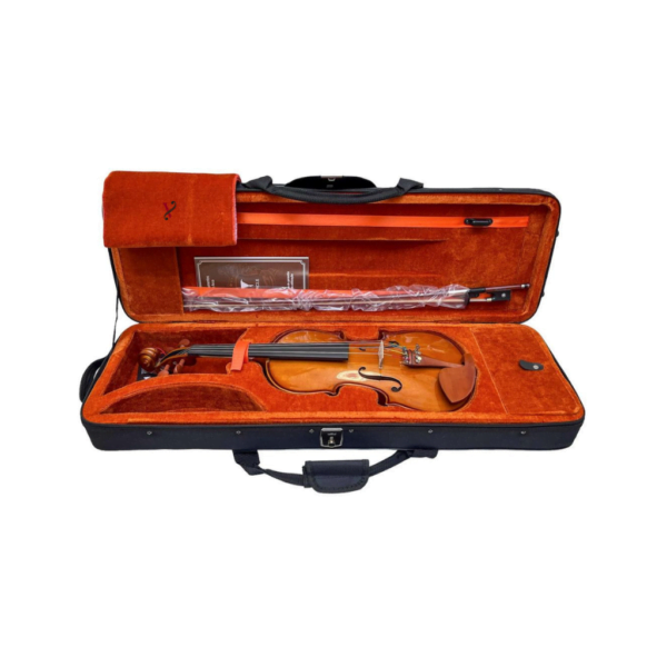 Violino Eagle VE431