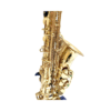 Saxofone alto Eagle SA501 Laqueado Completo