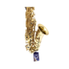 Saxofone alto Eagle SA501 Laqueado Completo