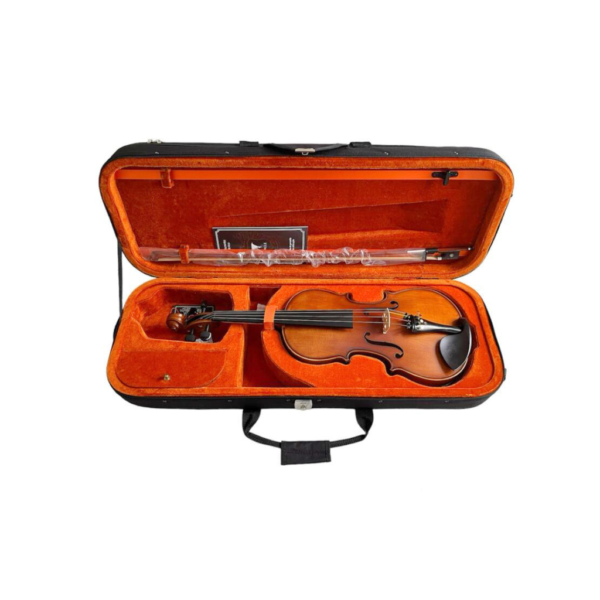 Viola de Arco Eagle VA180 Ajustada e Revisada Completa