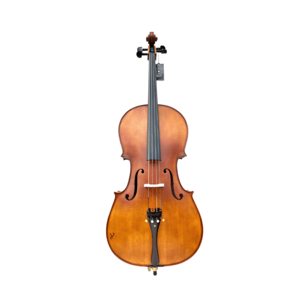 Violoncelo Eagle CE300 Ajustado por Luthier Profissional