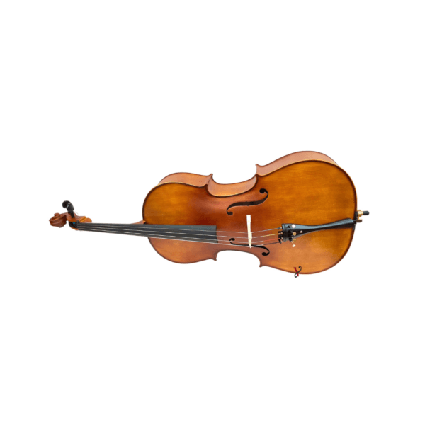 Violoncelo Eagle CE300 Ajustado por Luthier Profissional