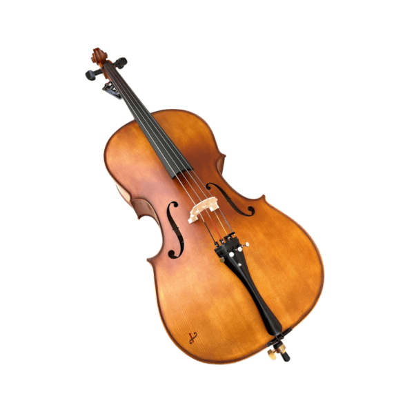 Violoncelo Eagle CE300 Ajustado por Luthier Profissional