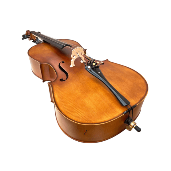 Violoncelo Eagle CE300 Ajustado por Luthier Profissional
