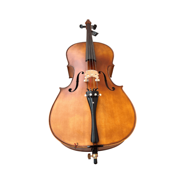 Violoncelo Eagle CE300 Ajustado por Luthier Profissional