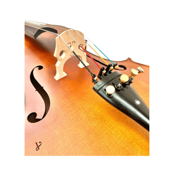 Violoncelo Eagle CE300 Ajustado por Luthier Profissional
