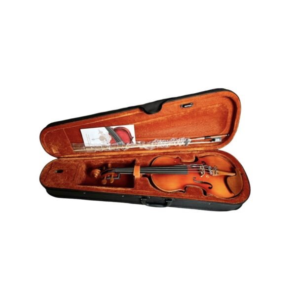 Violino 3/4 Ajustado Eagle-Hofma HVE231 Completo(Cordas M.Calixto)