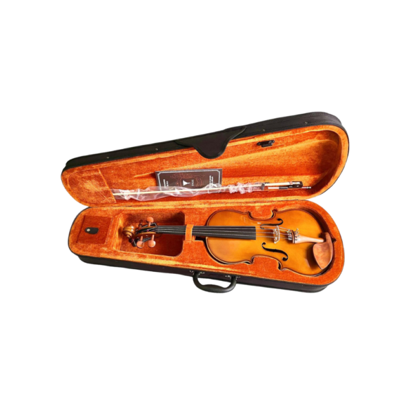 Viola de Arco Eagle VA150 Ajustada e Revisada Completa
