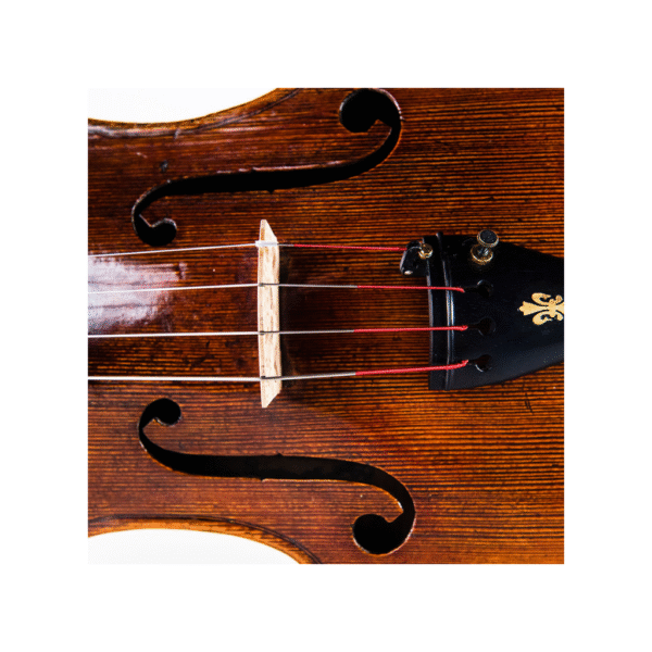 Cordas Spirocore Viola 4/4  - Thomastik S23