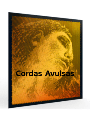 Cordas Avulsas Evah Pirazzi Gold Violino