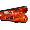 Violino 1/2 Ajustado Eagle-Hofma HVE221 Completo(Cordas M.Calixto)