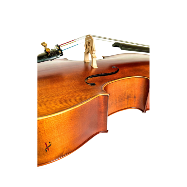 Violoncelo Eagle CE310 Ajustado Completo(Cordas M.Calixto)