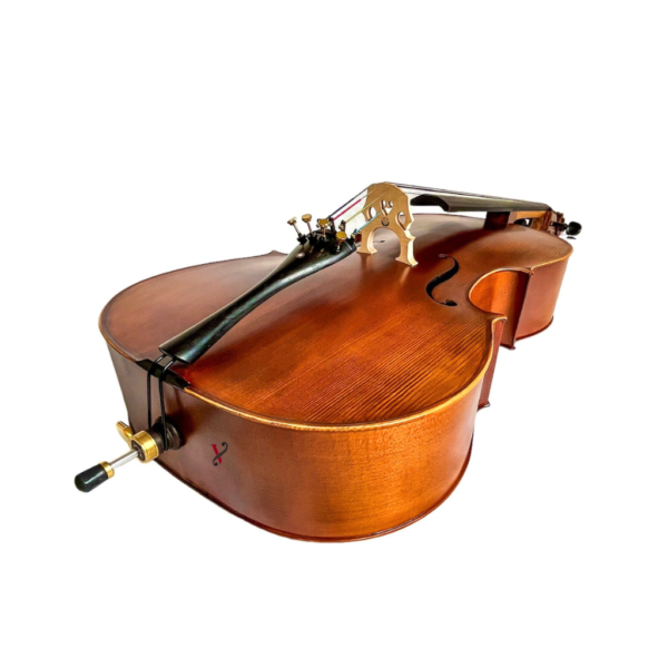 Violoncelo Eagle CE310 Ajustado Completo(Cordas M.Calixto)