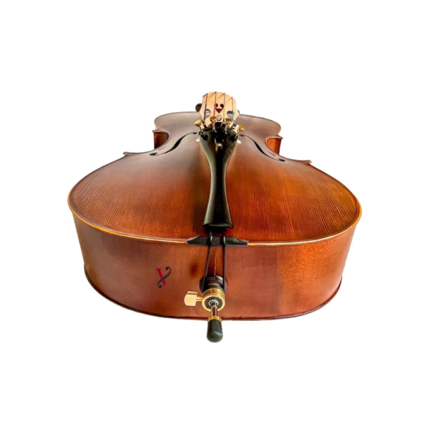 Violoncelo Eagle CE310 Ajustado Completo(Cordas M.Calixto)
