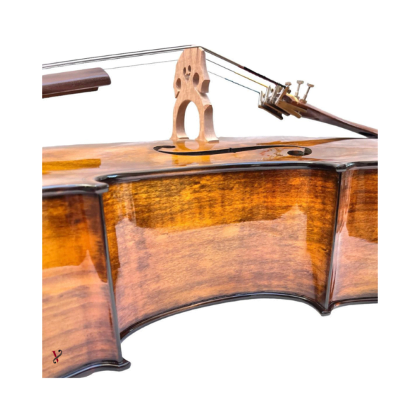 Violoncelo Rolim Milor