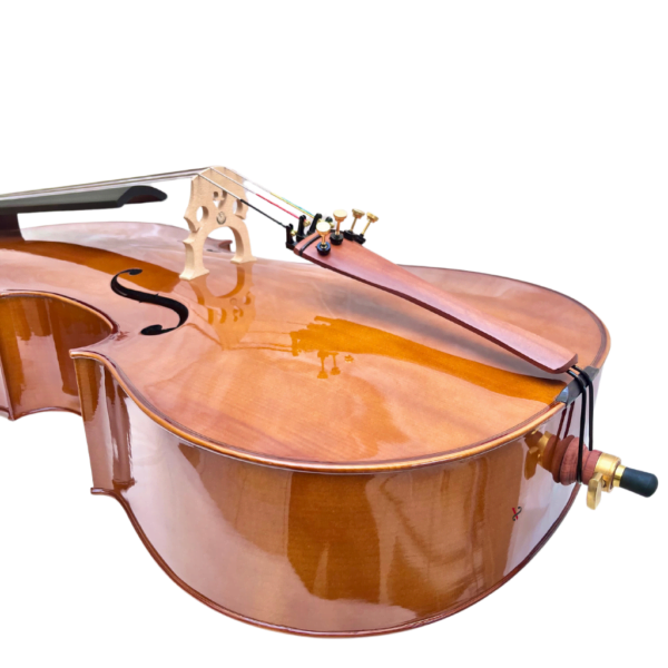 Violoncelo Eagle CE200 - Classic Series