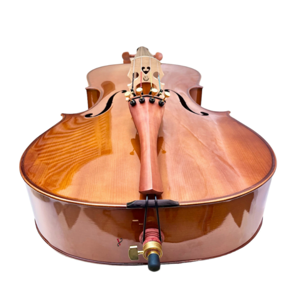 Violoncelo Eagle CE200 - Classic Series