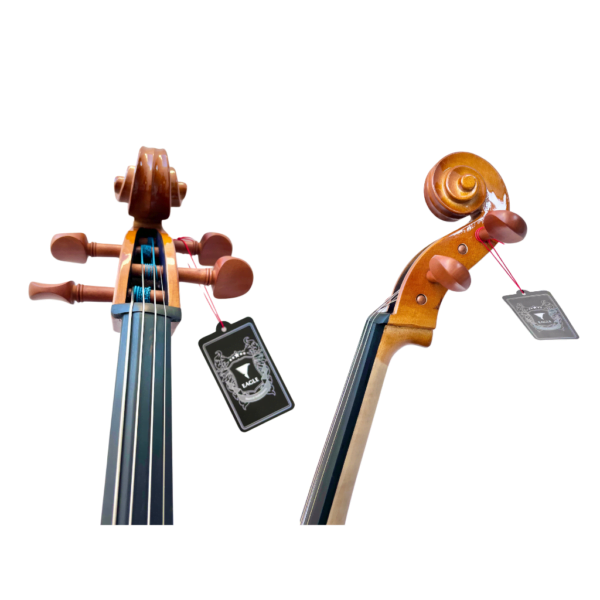 Violoncelo Eagle CE200 Ajustado e Revisado Completo(Cordas M.Calixto)