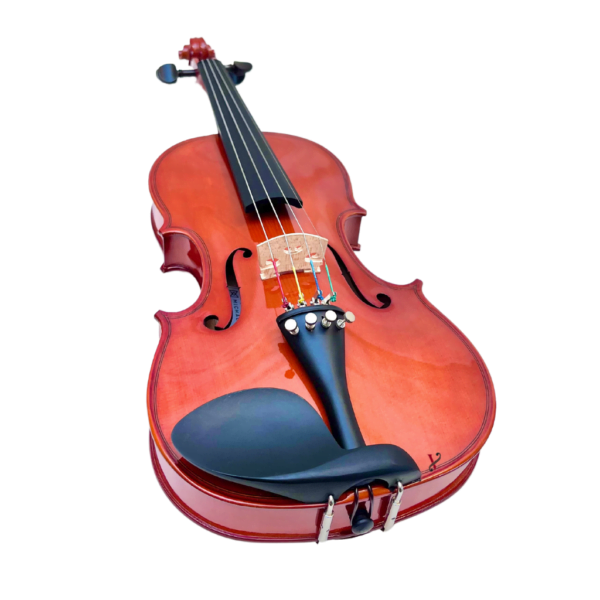 Violino Michael VNM30 3/4