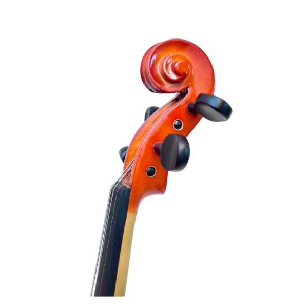 Violino Michael VNM30 3/4