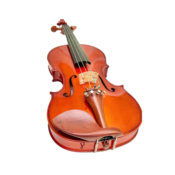 Violino Michael VNM146