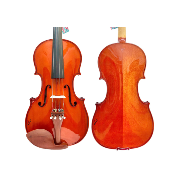 Violino Michael VNM146
