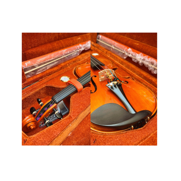 Violino Eagle VK844 Ajustado Completo (Cordas M.Calixto)