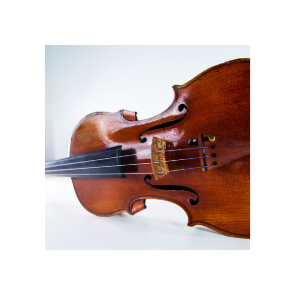 Cordas Peter Infeld Violino - Thomastk PI100