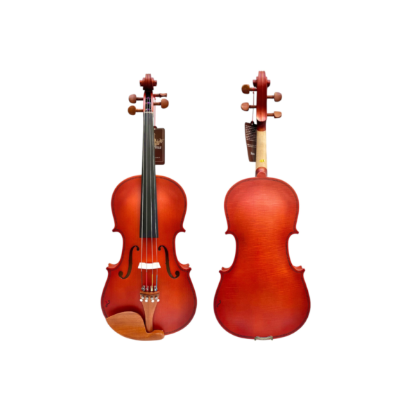 Viola de Arco 4/4 Hofma HVA120 Ajustada e Revisada Completa