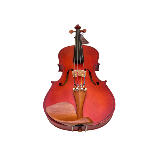 Viola de Arco 4/4 Hofma HVA120 Ajustada e Revisada Completa