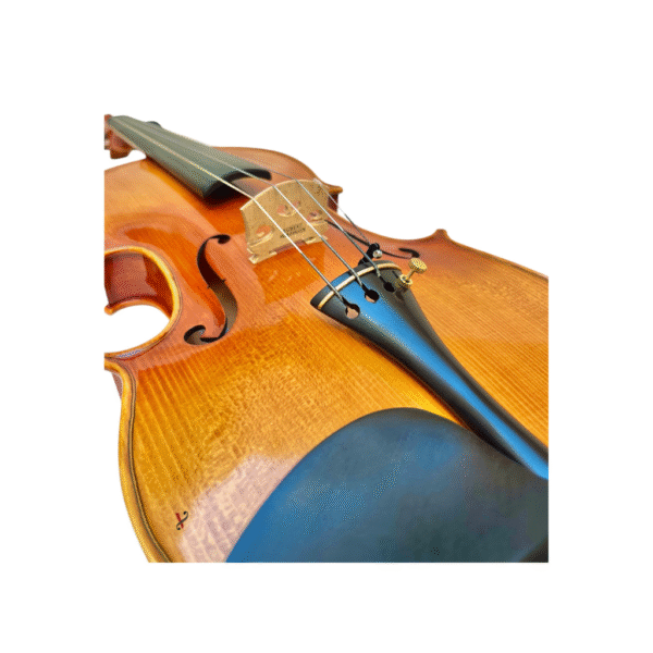 Violino Profissional Rolim J.A Francis Custom 4/4 – Artesanal