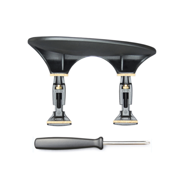 34 - 2025-07-17T122204.637 Queixeira Central Wittner Zentriert para Viola