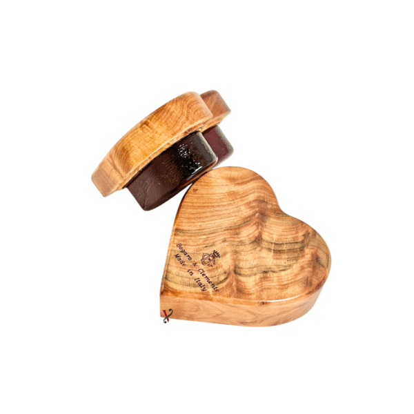 Breu Bogaro & Clementino Amor para Violino