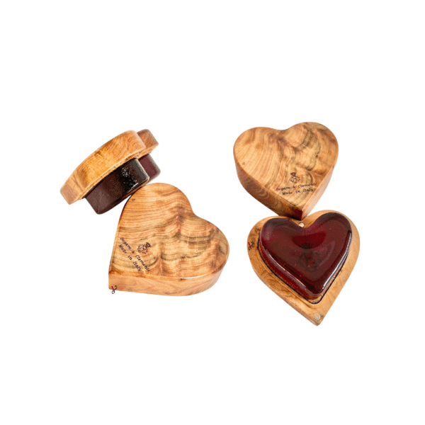 Breu Bogaro & Clementino Amor para Violino