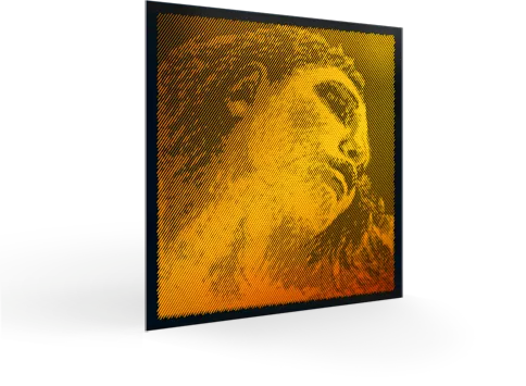 Cordas Pirastro Evah Pirazzi Gold — fotografia oficial
