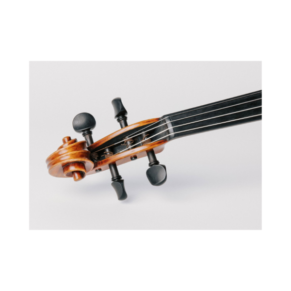 34 - 2026-10-12T112207.601 Cordas Thomastik Rondo Gold RG200 Para Viola 4/4