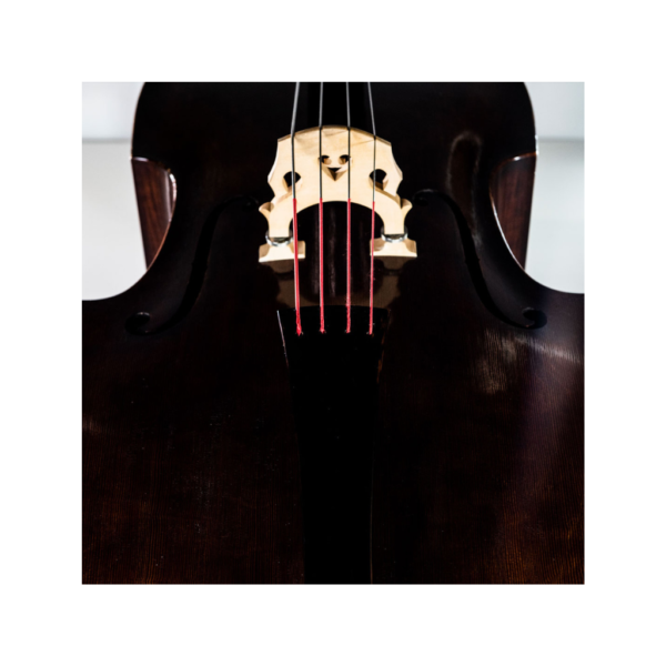 Cordas Thomastik Spirocore Orquestra 3885 Contrabaixo 3/4